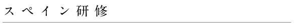 スペイン研修2005
